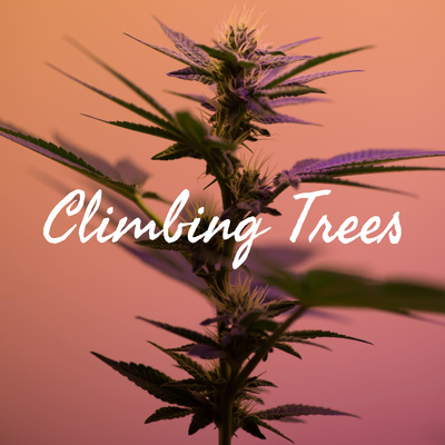 Climbing Trees