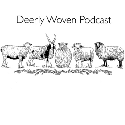 Currently playing episode