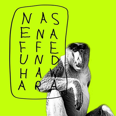 nasenaffe & hawara