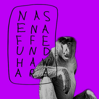 nasenaffe & hawara