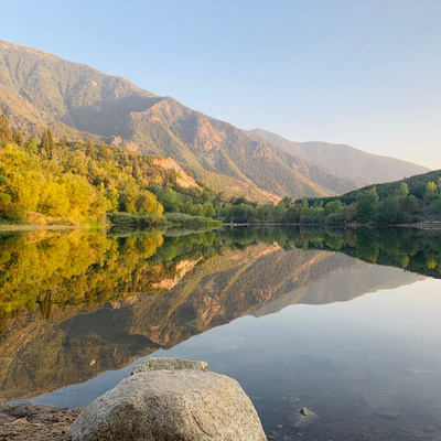 Reflections with Water