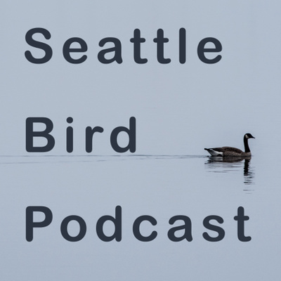 Seattle Bird Podcast • A podcast on Spotify for Podcasters