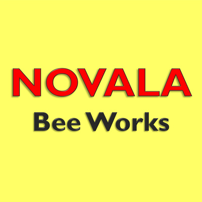Novala Bee Works Academy • A podcast on Spotify for Creators
