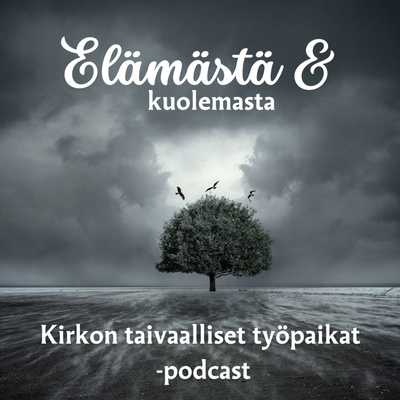 Jakso 17: Kotiinpaluu