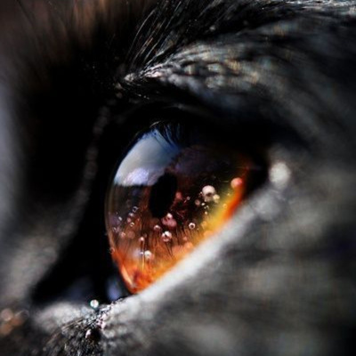 Utilisez ÇA dans toutes les situations Utilisez ÇA dans toutes les situations