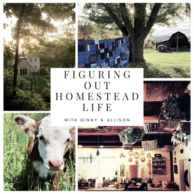 Eggsperts in the Making: Lessons From Our Homestead Chicken AdventuresQ