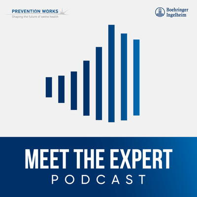 ASF: Essential steps to beat the persistent threat
