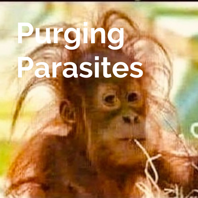 Purging Parasites The Book?