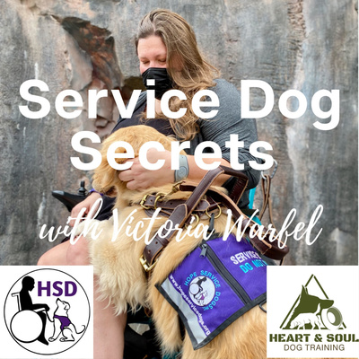 What TASKS Do You Need (For Your Service Dog)?