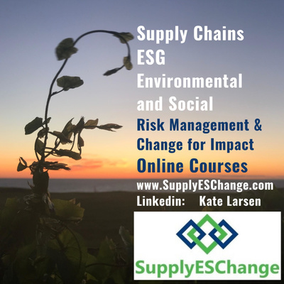 SupplyESChange Social Impact Insights