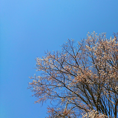 #6 またしても久しぶりのpodcastという訳です