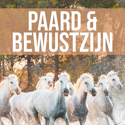 #38: Arjen Lubach: "Kap met de paardensport!"