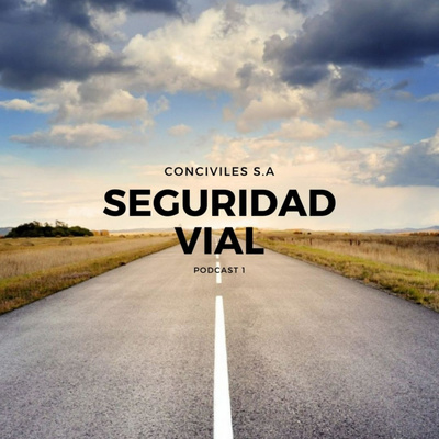 SEGURIDAD VIAL