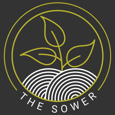 The Sower: 1 Peter  episode artwork