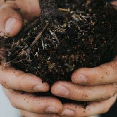 Psycodelicando: terapias da nova era🍄🍄🍄 Psycodelicando: terapias da nova era🍄🍄🍄