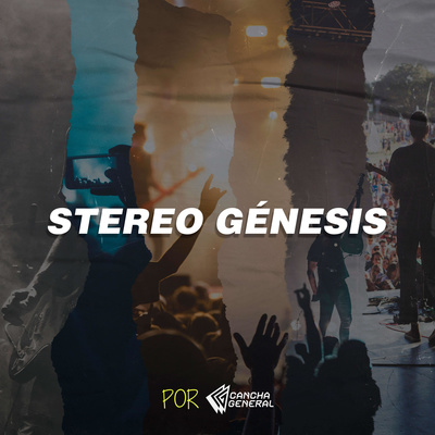 Nación en Vivo: Los registros de la música chilena