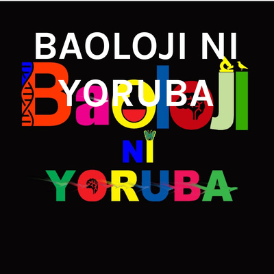 Respiratory System explained in Yoruba Language Respiratory System explained in Yoruba Language