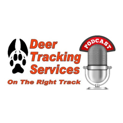 #5 | Falconry - An insight into the sport