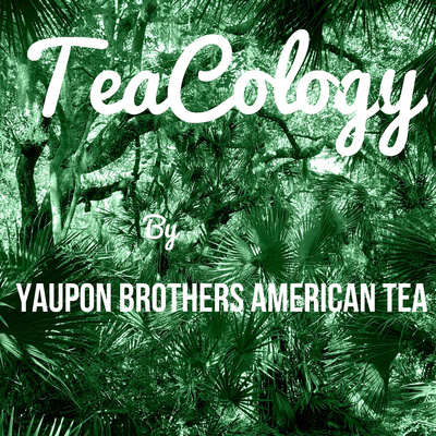 Introducing Tea Talk from Yaupon Brothers American Tea