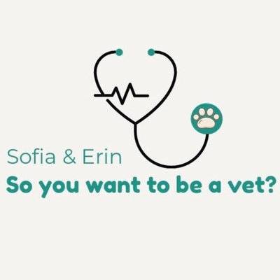 So You Want To Be a Vet?