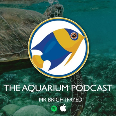 Deep Dive Live (Youtube Livestream 04/02/2022)