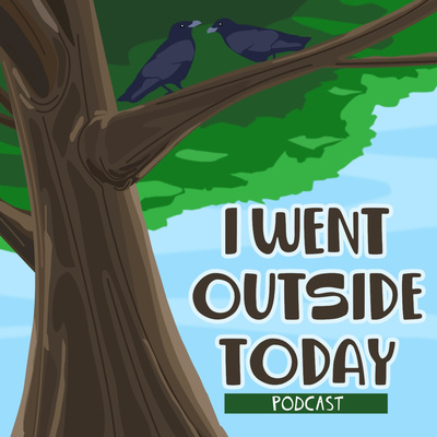 2.11 - Sydney Gets Hooked on Crystal episode artwork