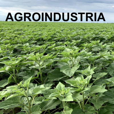 Portada de Agroindustria