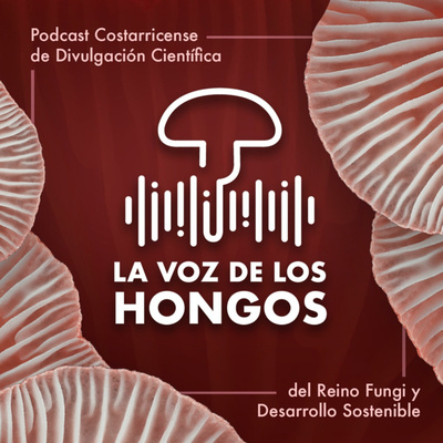 Divulgación de la Funga con Fungicosas - Episodio 13