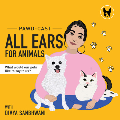 4 Common Causes of Stress for Dogs and How Can You Help Overcome it