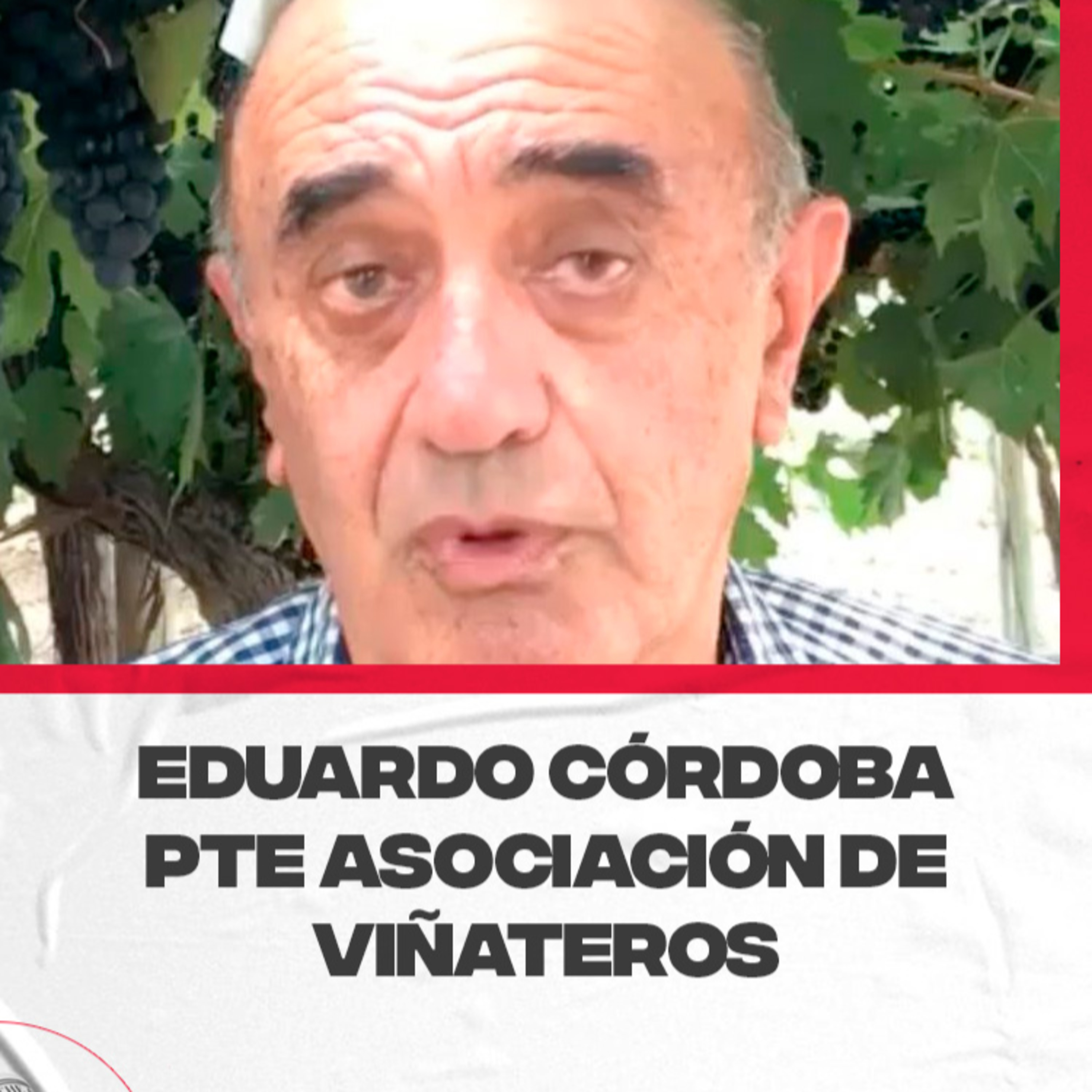 Eduardo Córdoba - Pte. de la asociación de Viñateros de Mendoza - Situación actual  episode artwork