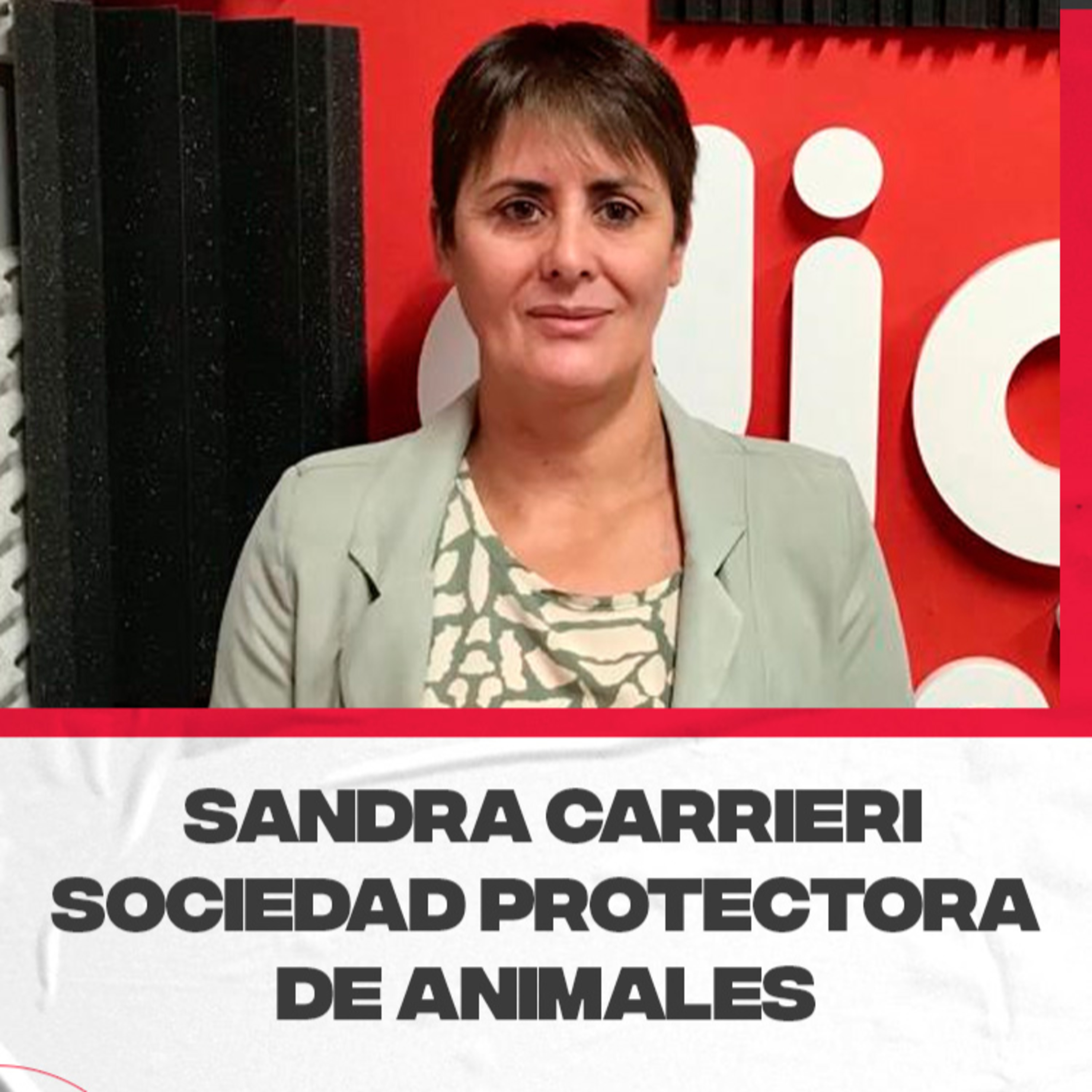Sandra Carrieri – Presidenta de la Sociedad Protectora de Animales y Plantas. Actualidad de la asociación y necesidades actuales episode artwork