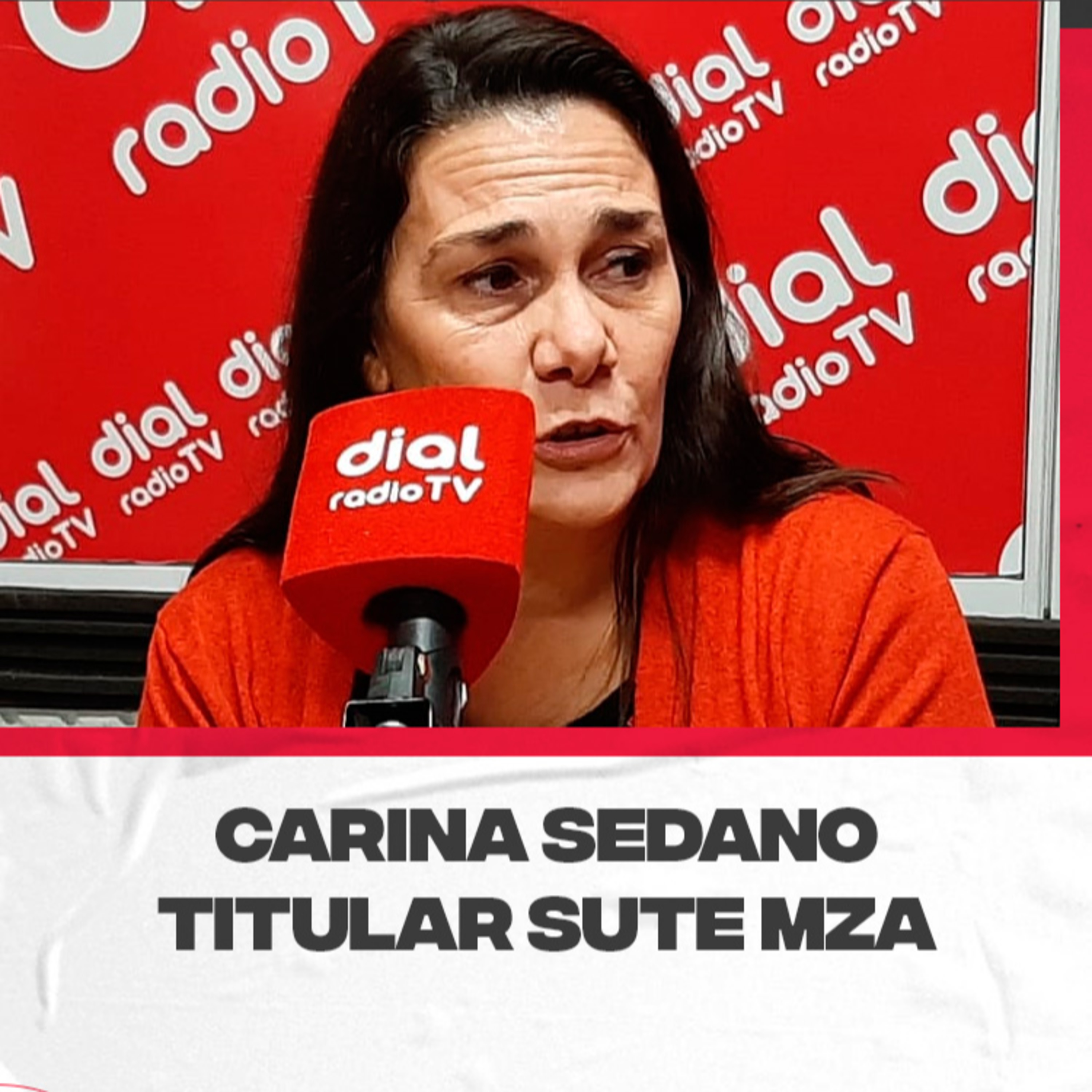 Carina Sedano. Titular SUTE Mendoza. Actividad del gremio. episode artwork