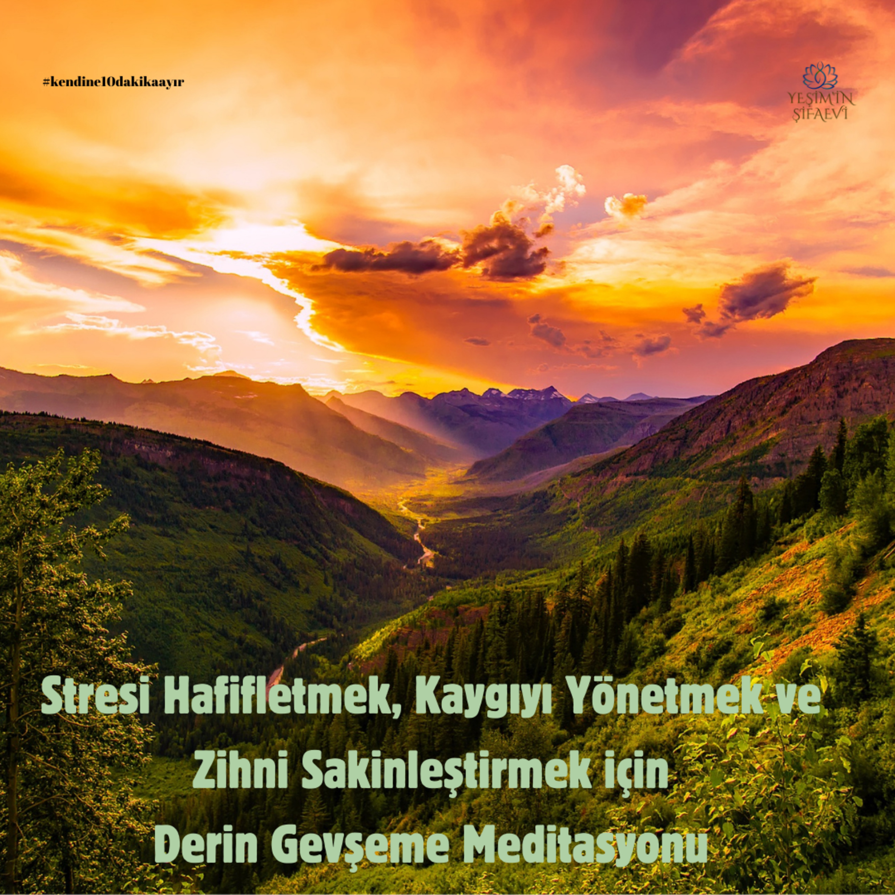 Yeşim\'in ŞifaEvi