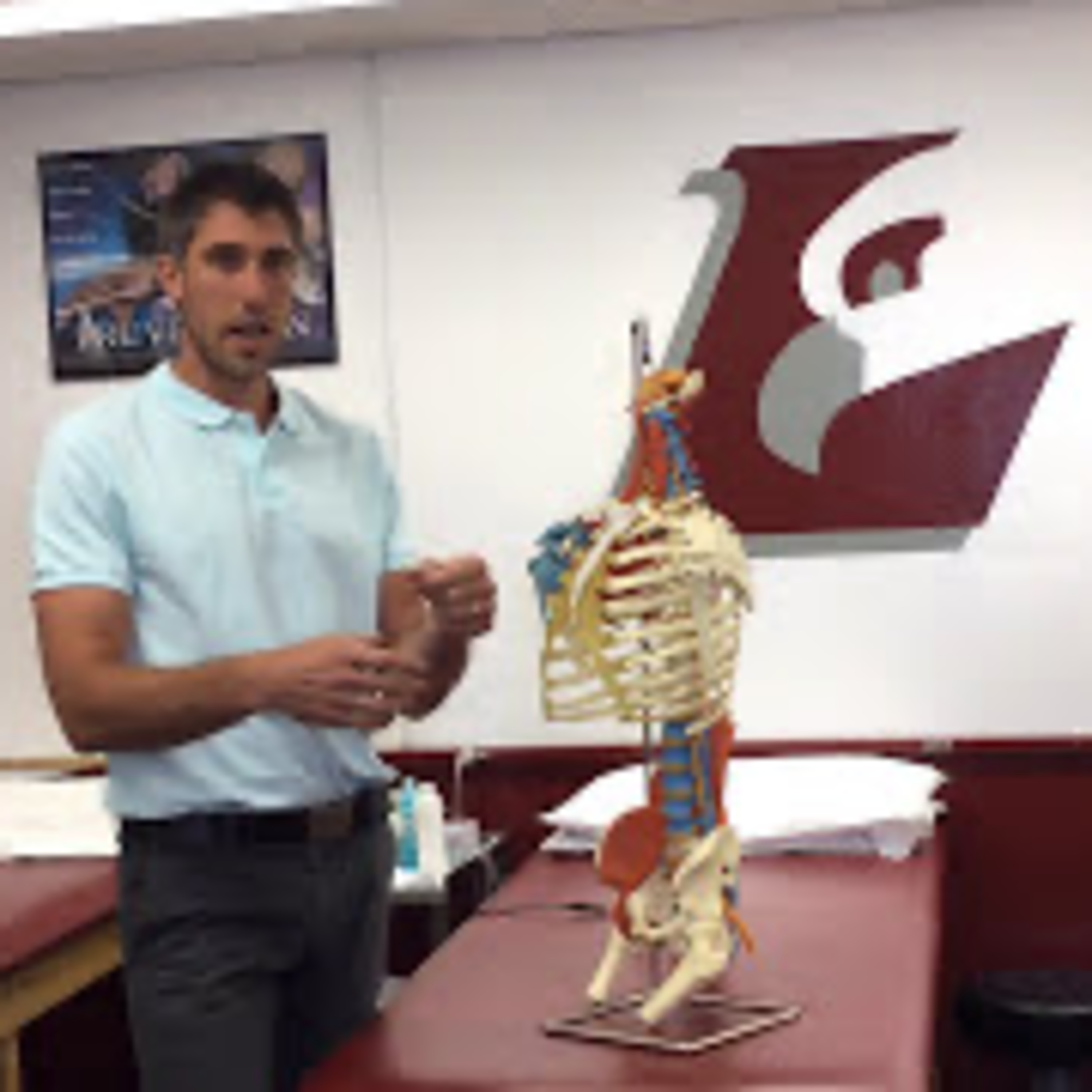 Clinical Insight: The Core