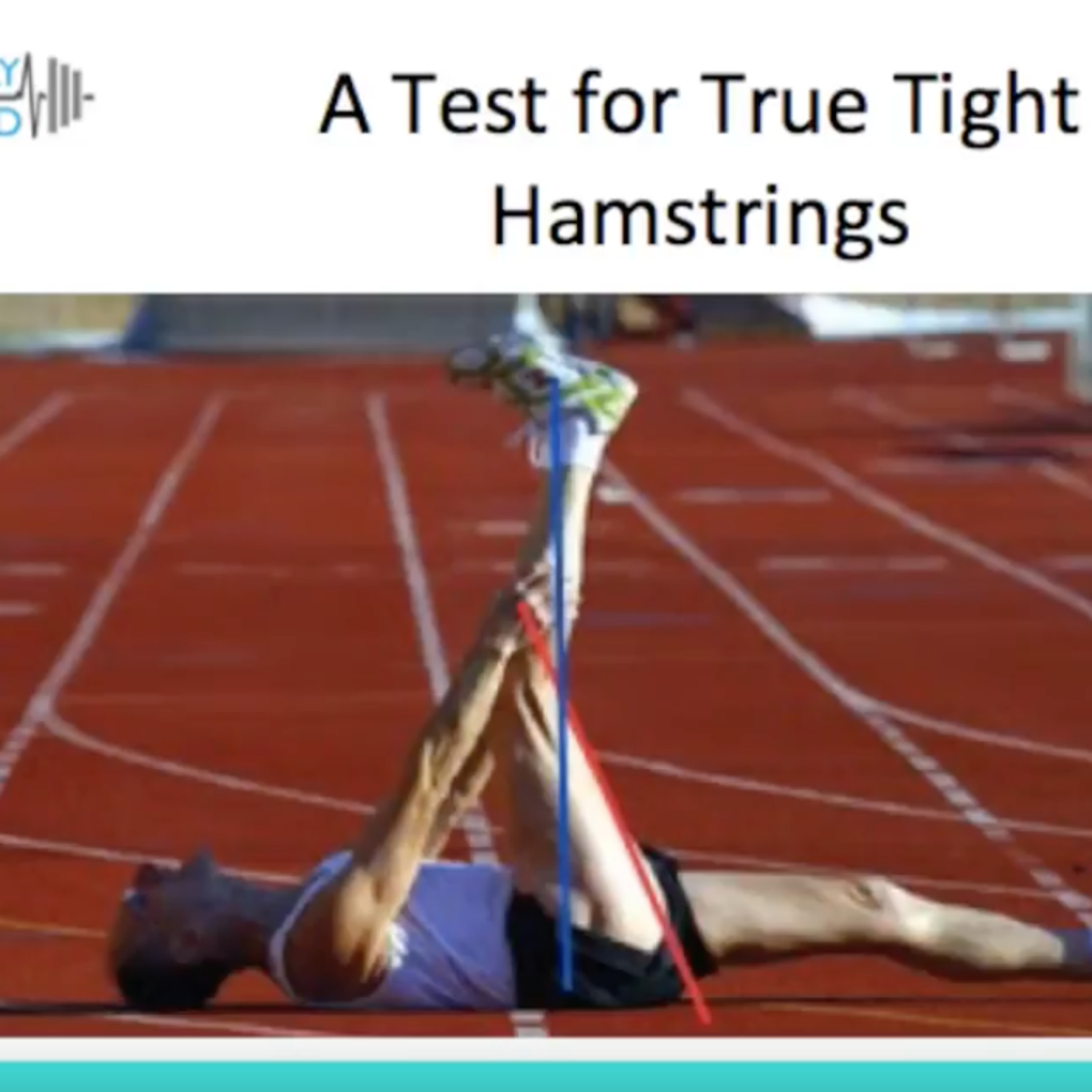 Clinical Insight: Hamstrings-Tight vs. Taut