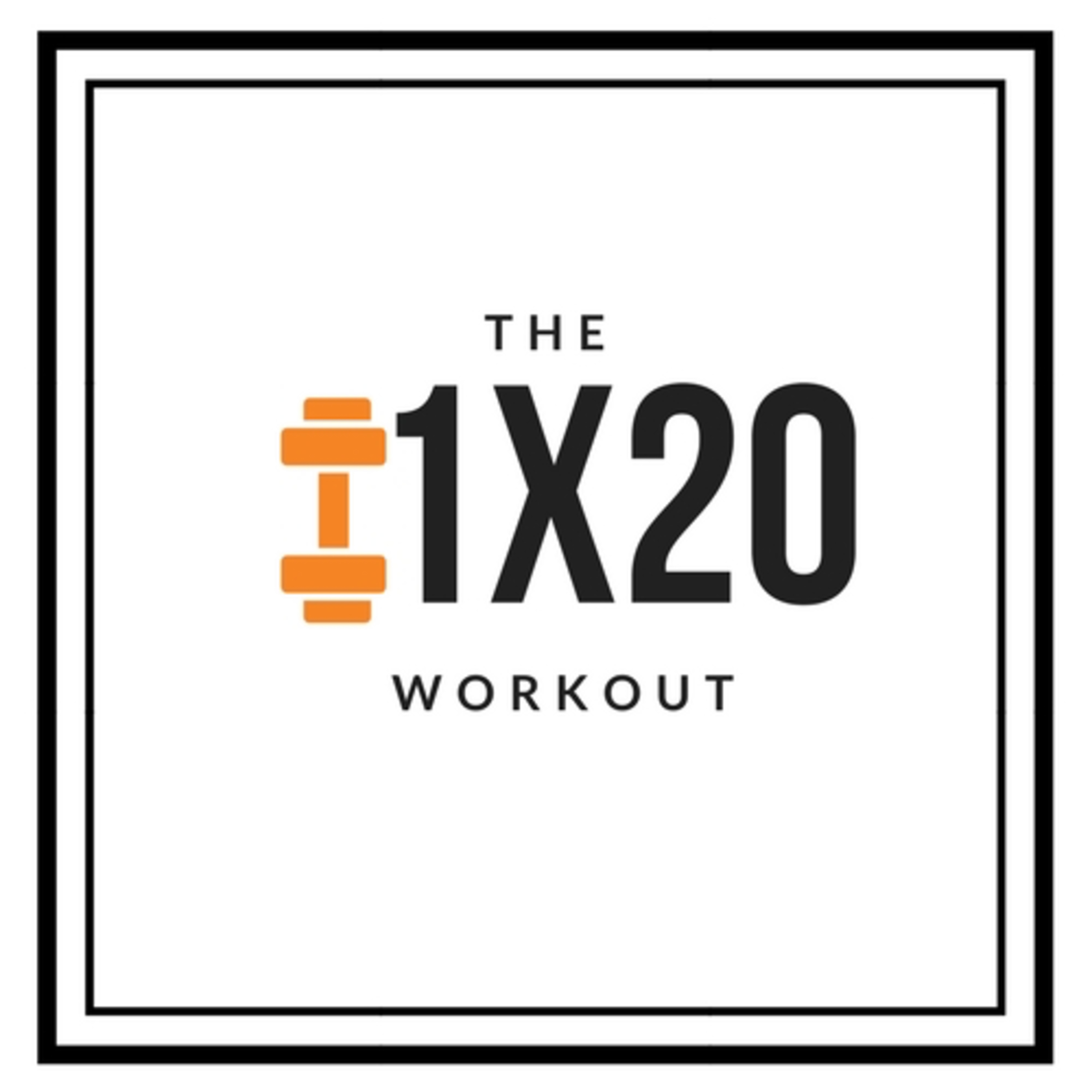PI: 1x20 Programming