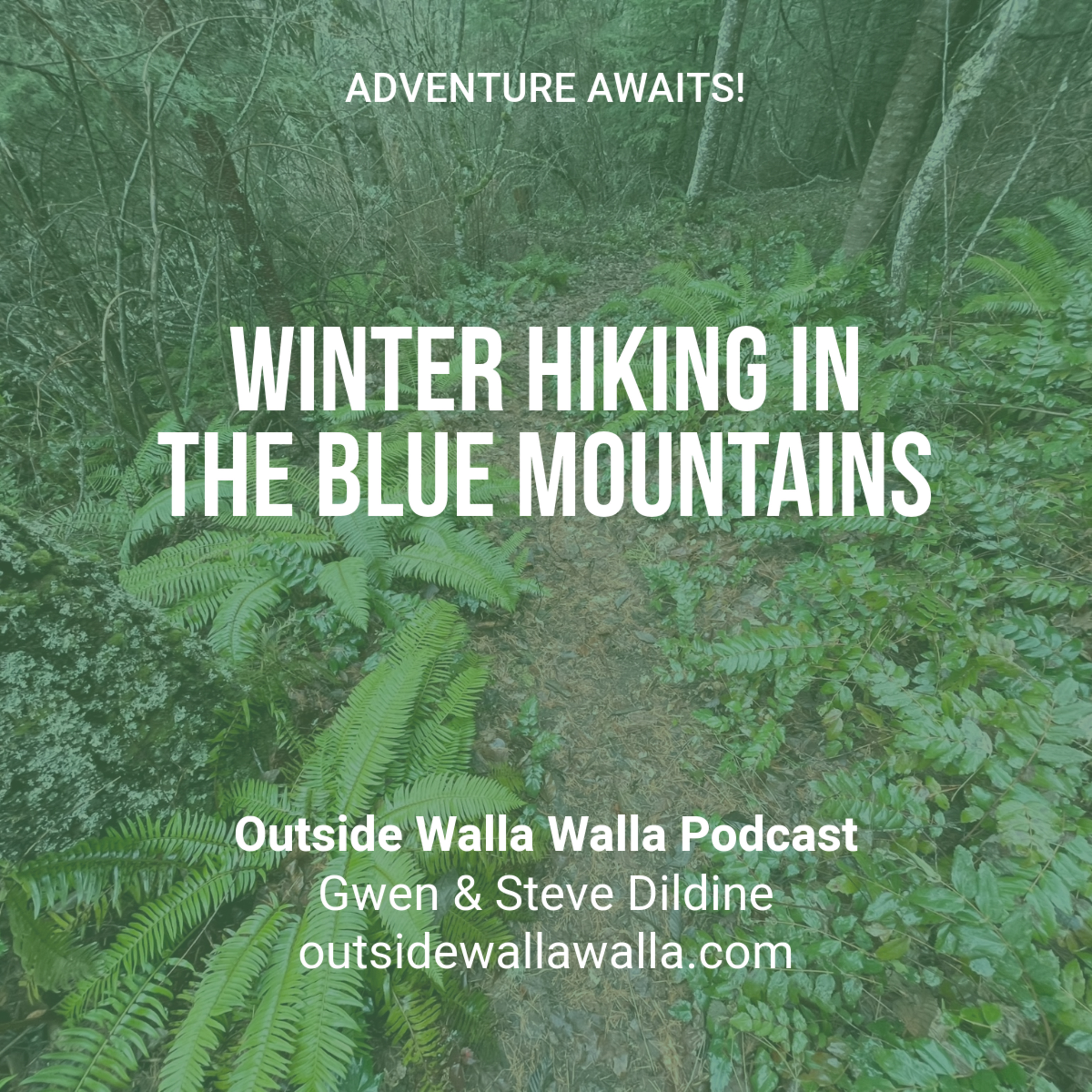 Winter Hiking in the Blue Mountains episode artwork