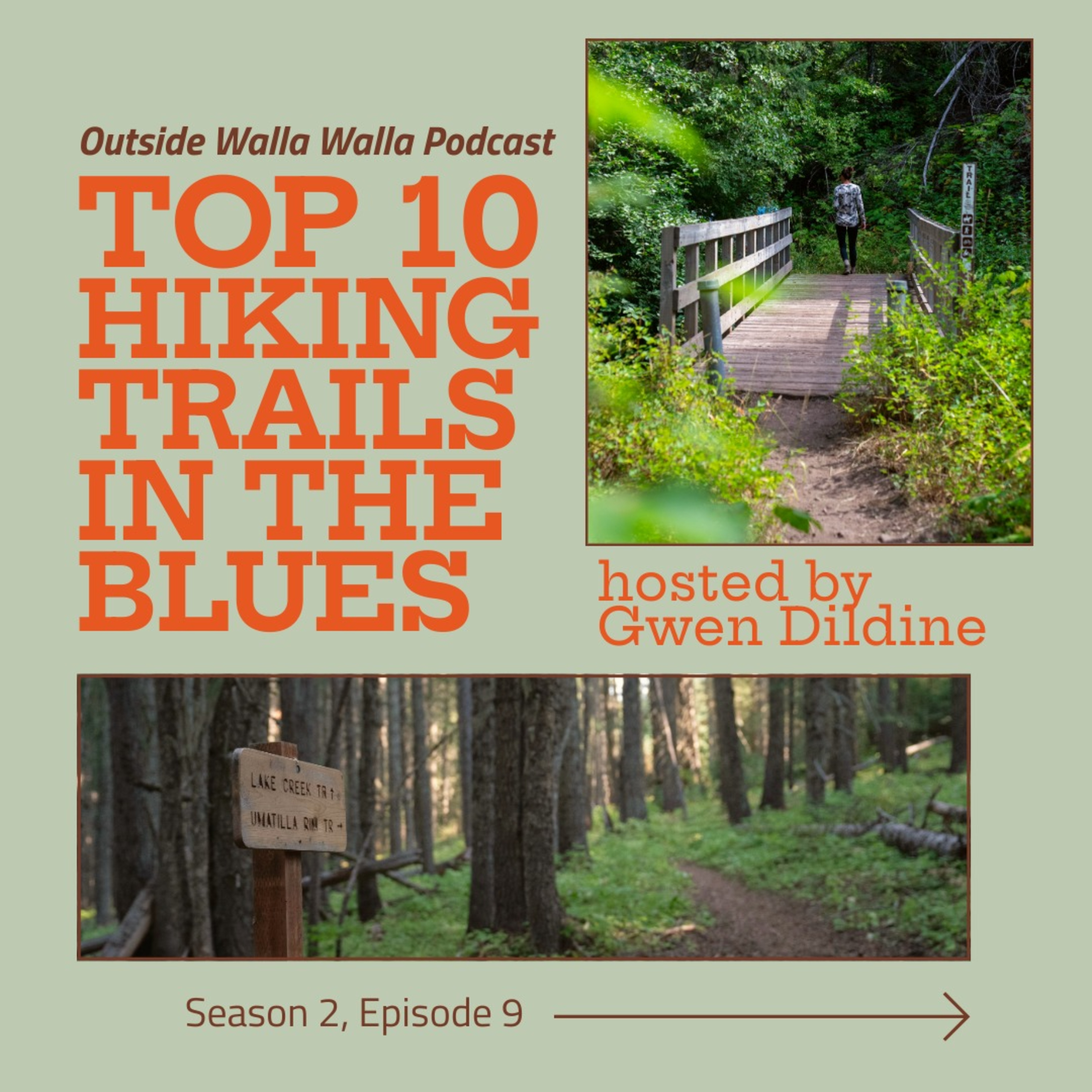 Top 10 Hiking Trails in the Blues episode artwork