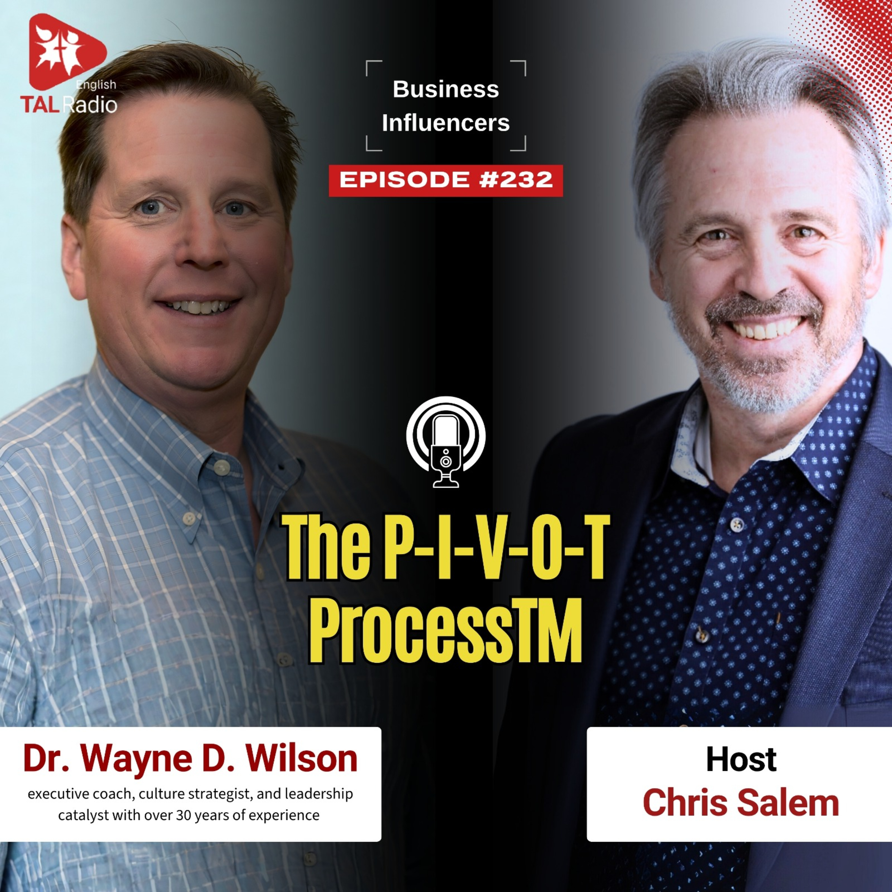 The p-I-V-O-T Process TM | Business Influencer - 232