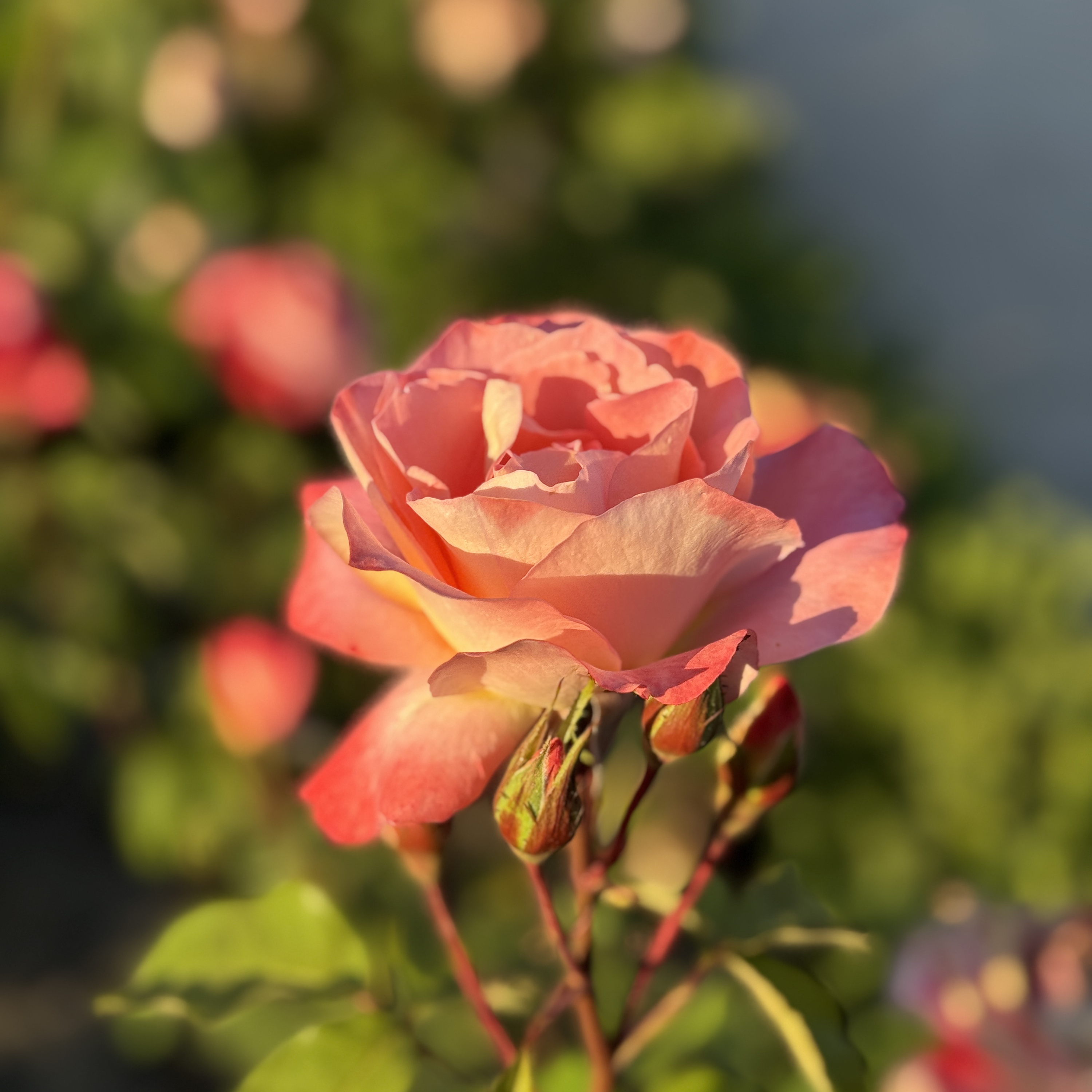 take a moment and just breathe