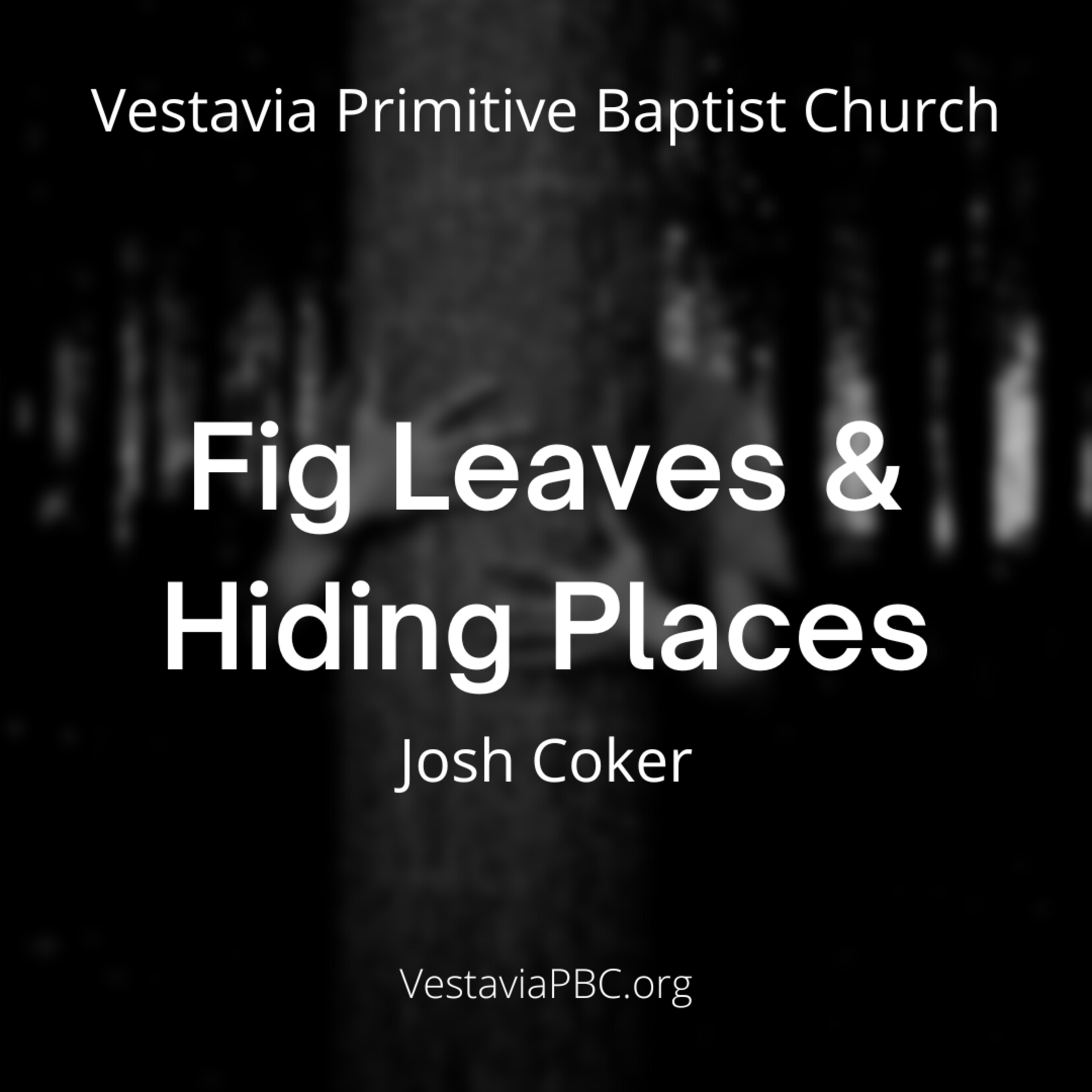 Fig Leaves and Hiding Places (Josh Coker) - 1.28.2024 episode artwork