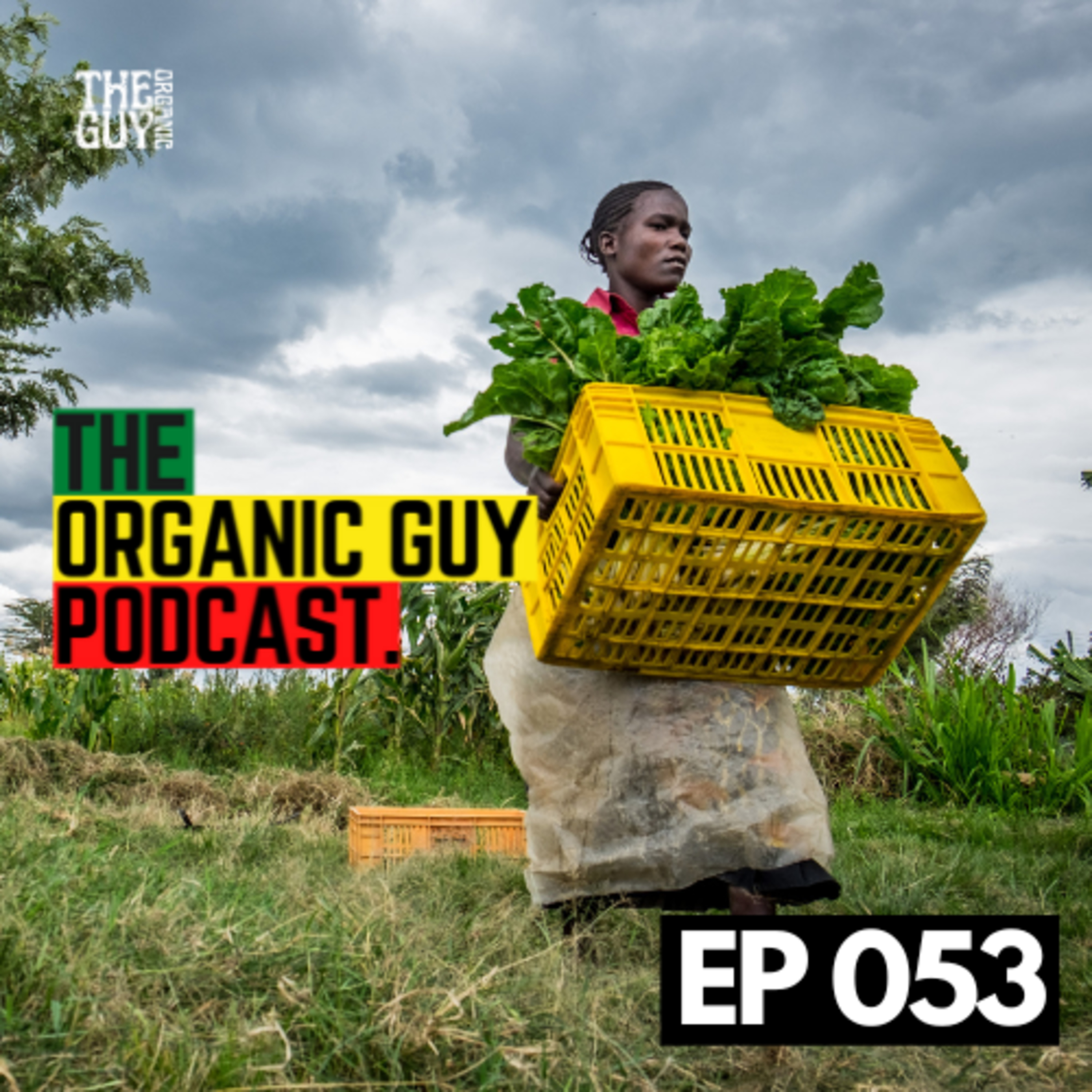 WHY Are There Less Organic Farmers In The World? | Ep 053 episode artwork