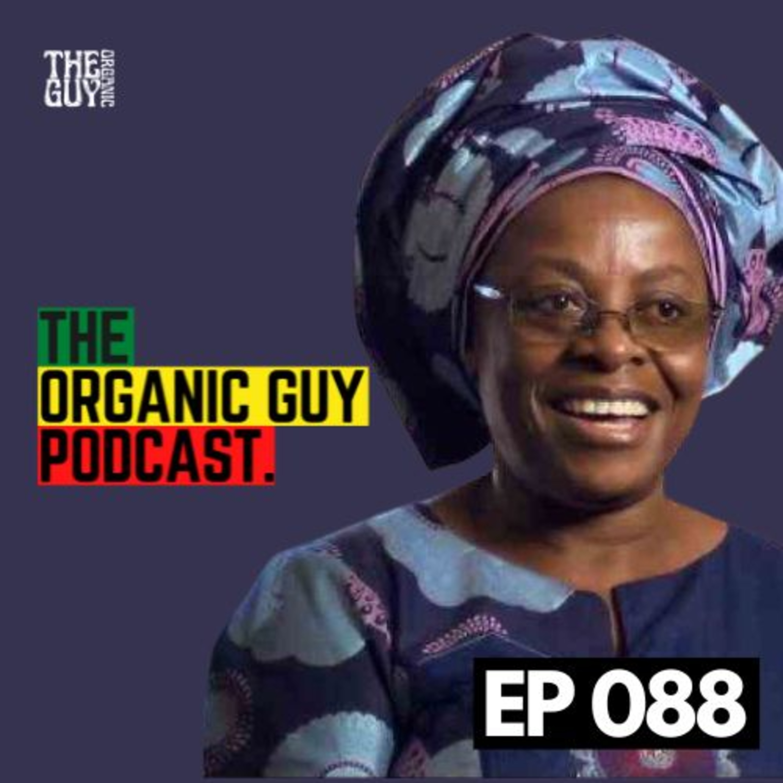 How to Make Money from Indigenous Foods ft. Sylvia Banda | Ep 088 episode artwork