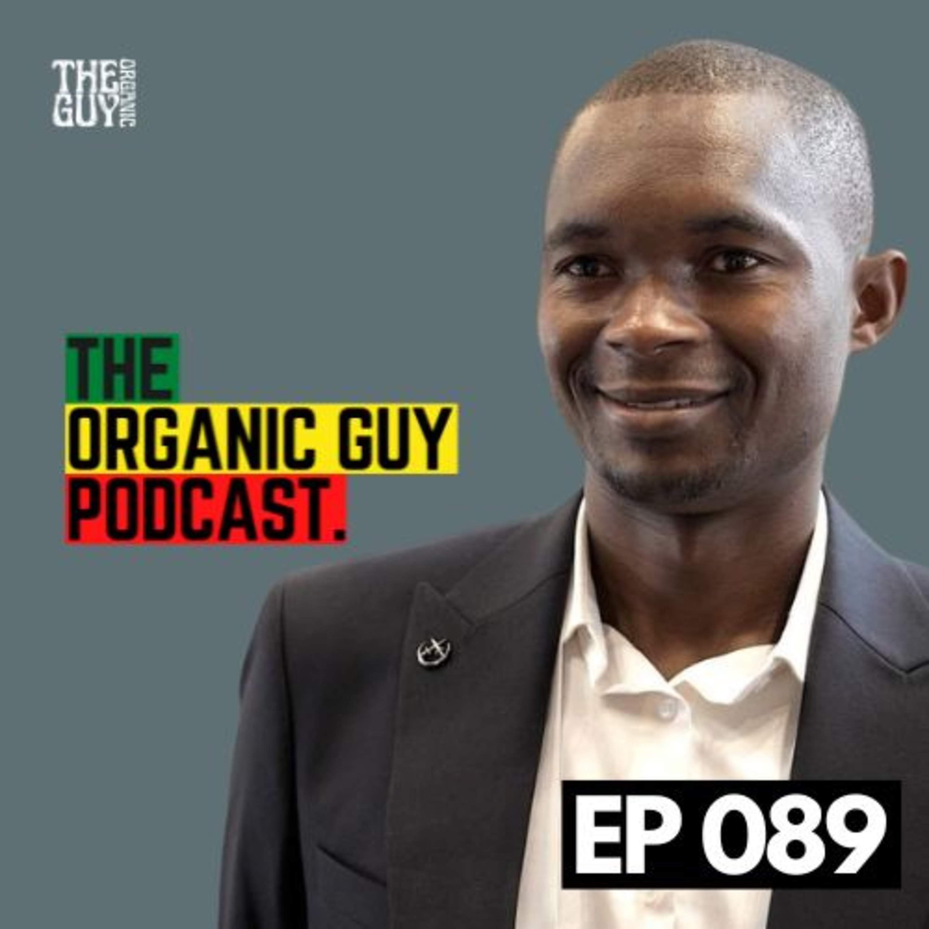 He Quit Engineering to Build Zambia’s Leading Organic Farm w/ The Radical Farmer | Ep 089 episode artwork