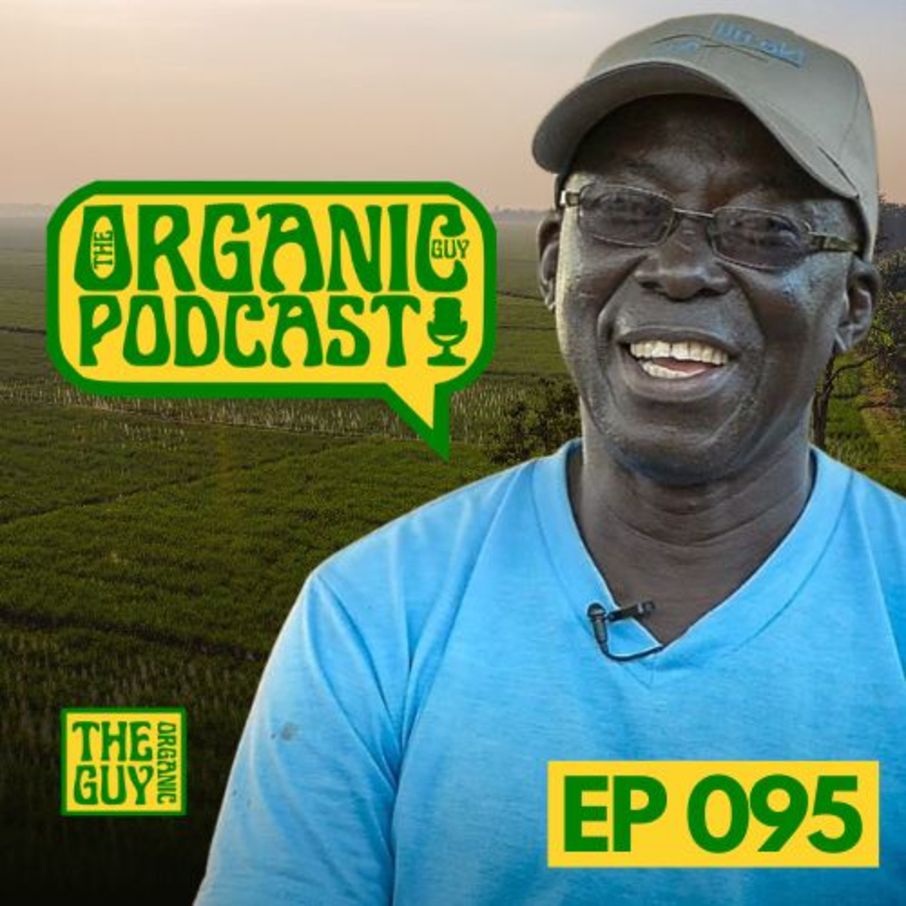 How Africa Could Lead the Regenerative Agriculture Movement w/ Dr. Kofi Boa | Ep 095 episode artwork