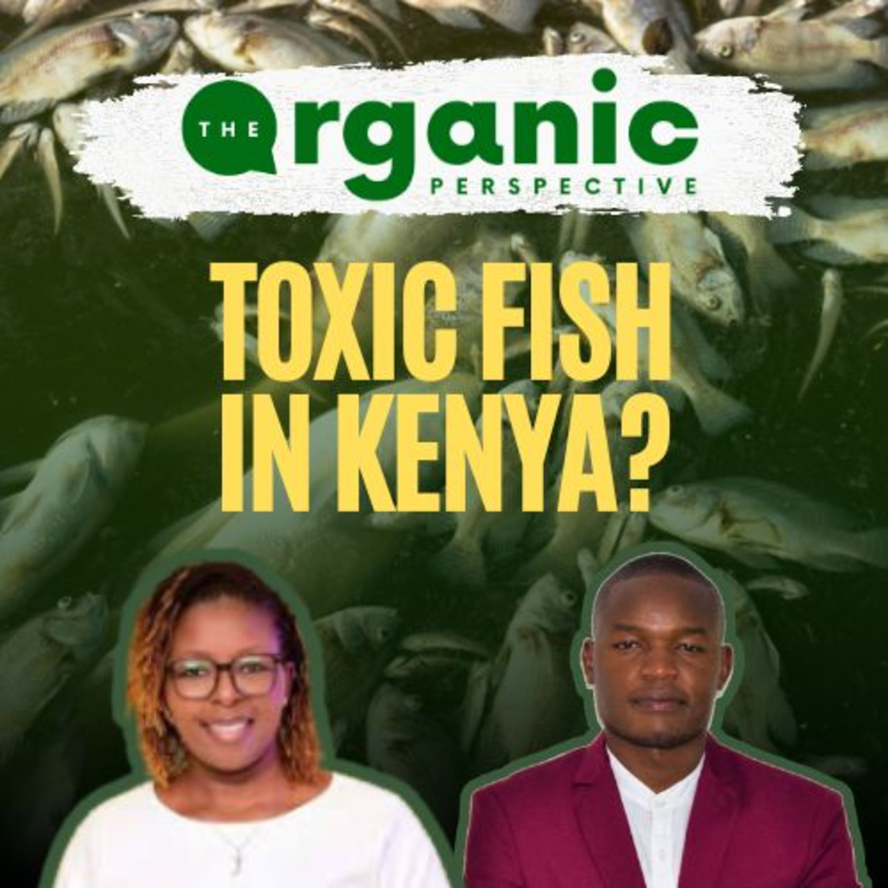 Toxic Fish, Traoré’s Food Revolution & the Farmer with 62 Kids | The Organic Perspective | Ep 097 episode artwork
