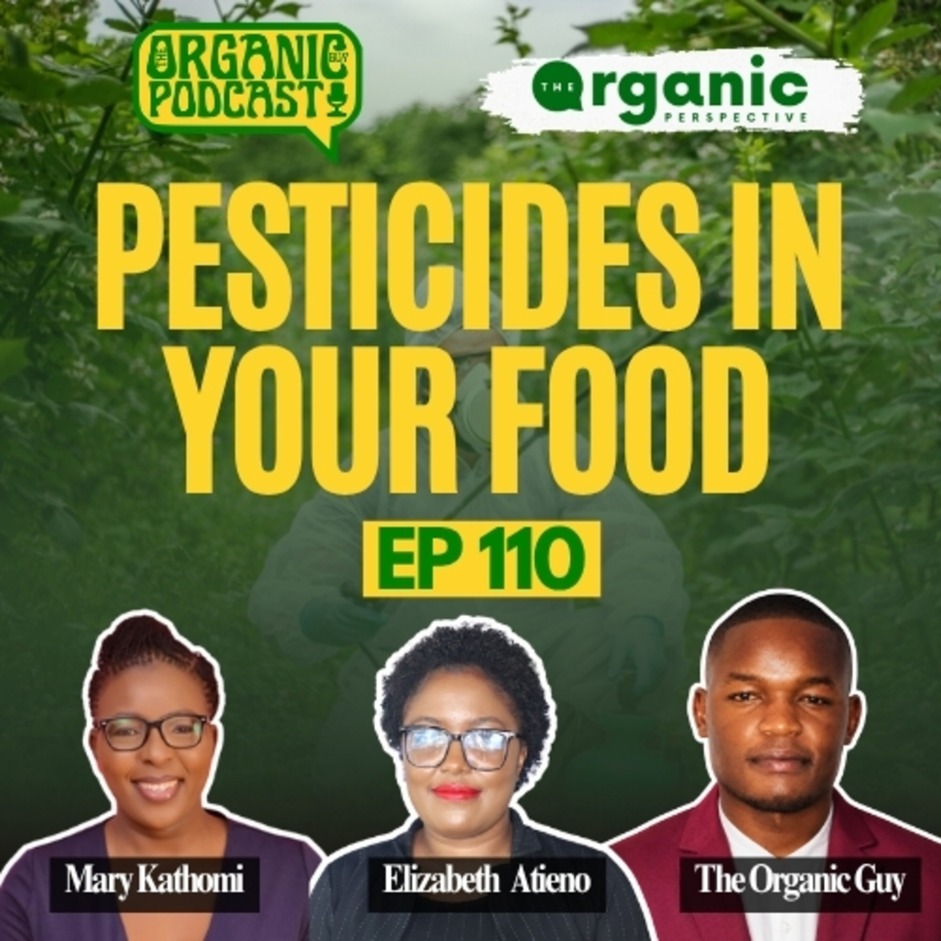78% of Vegetables Are Full of Toxic Pesticides, Fake Honey & Kenya’s Maize Crisis | TOP Ep 113