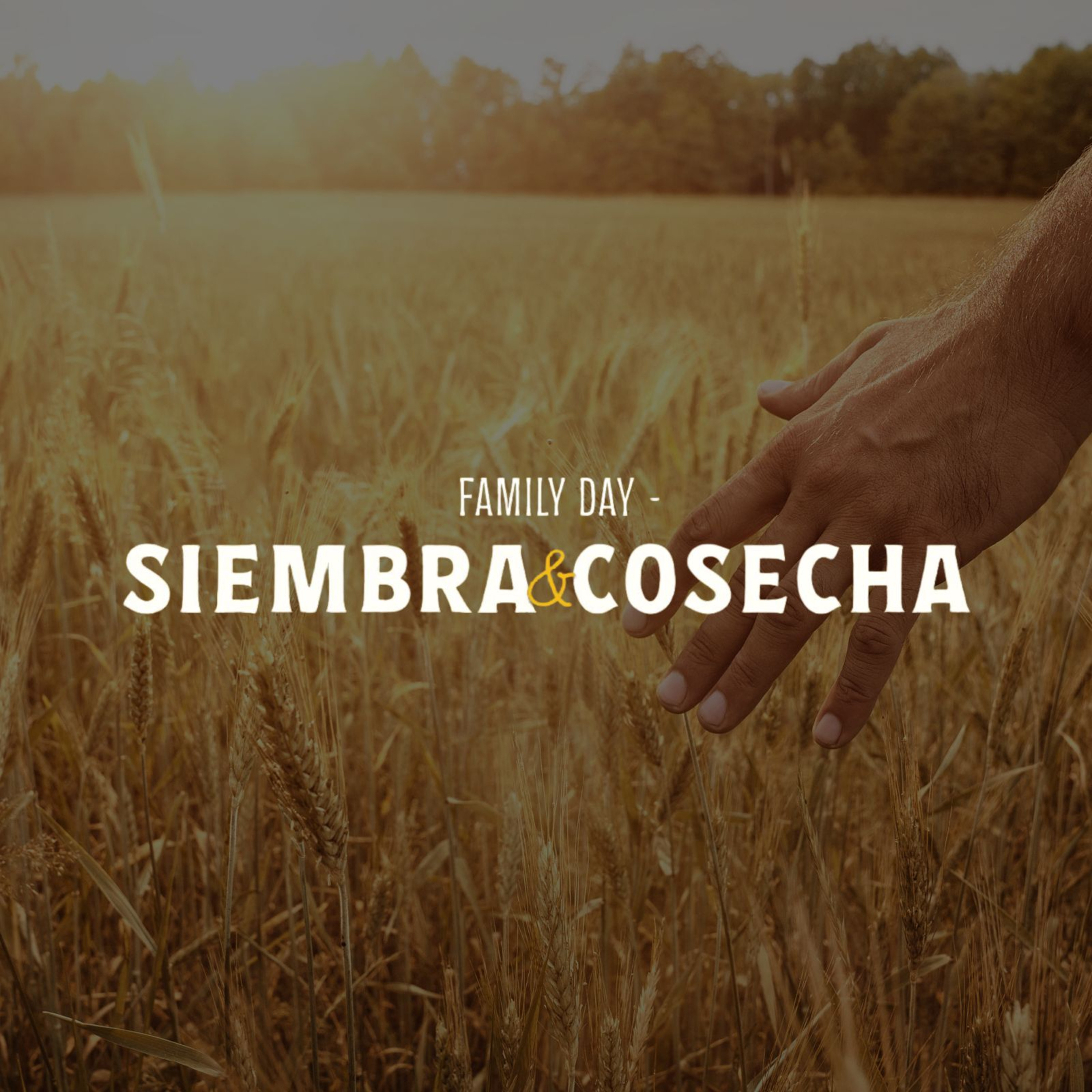 Siembra y cosecha - Intro AFd episode artwork