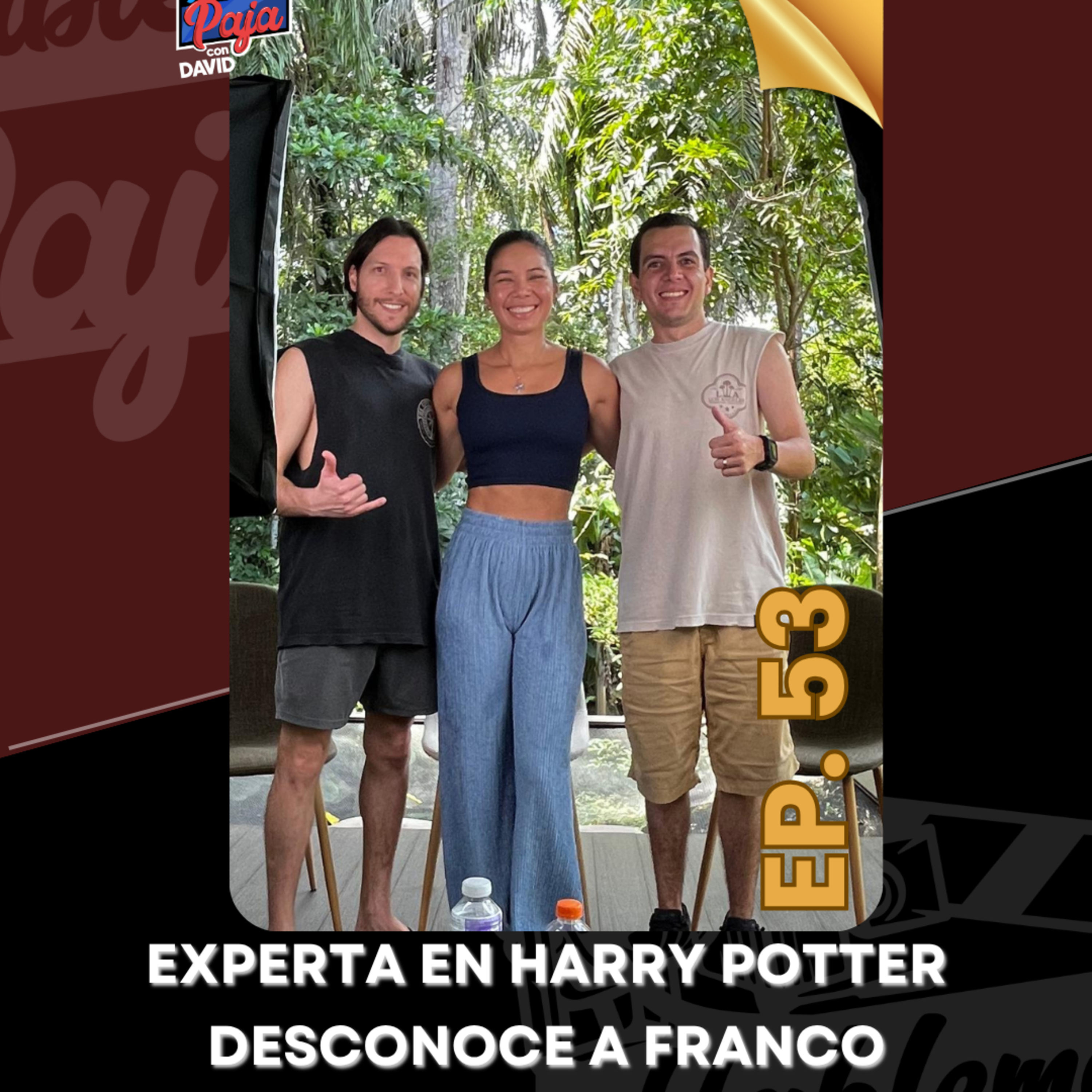 Harry Potter o Twilight o Los Juegos del Hambre… Hablamos con Gaby sobre adaptaciones de libros episode artwork