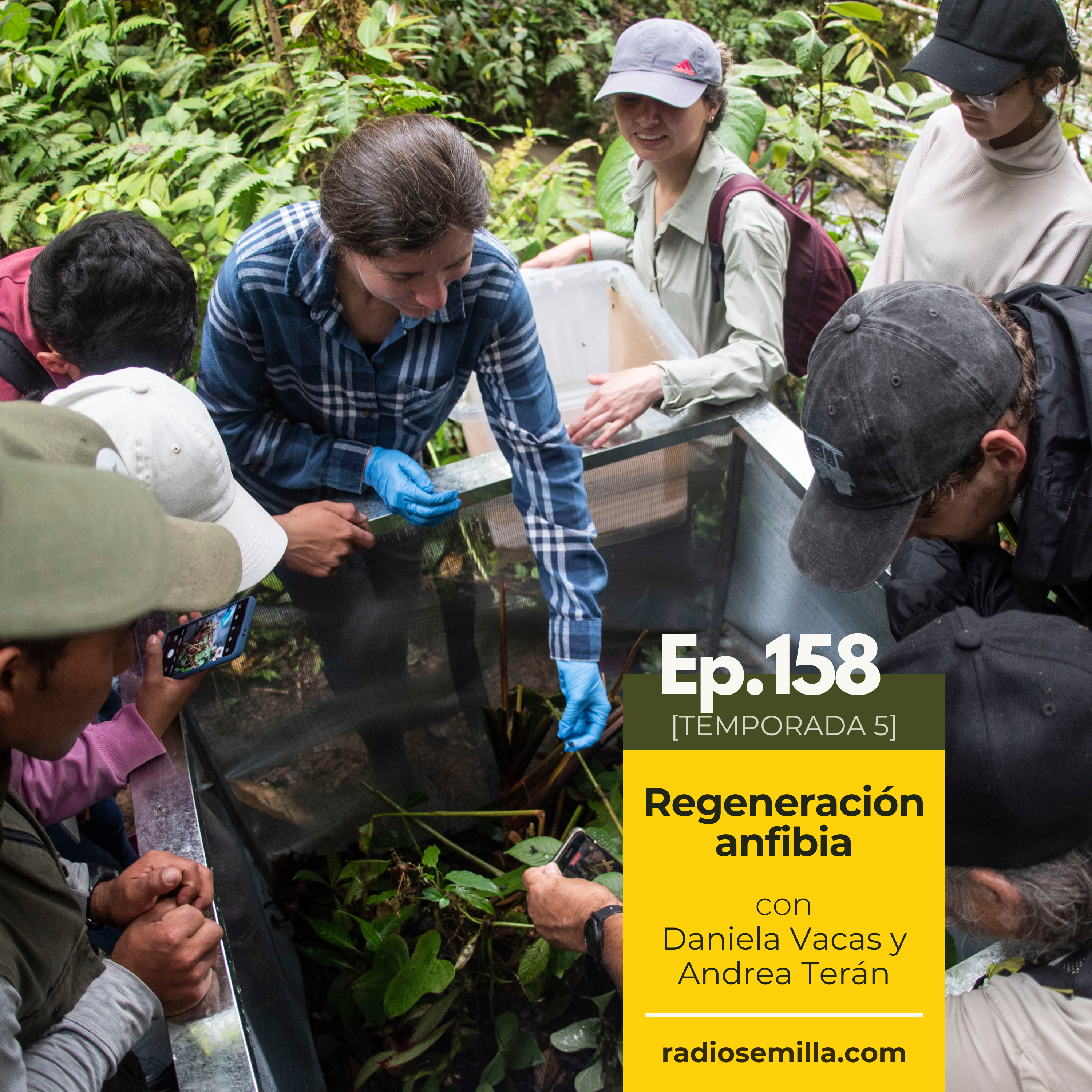 158: Regeneración anfibia, con Daniela Vacas y Andrea Terán